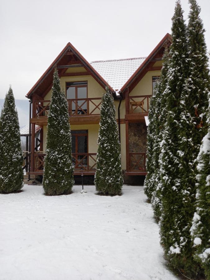 На Березі Черемошу Verkhovyna Extérieur photo