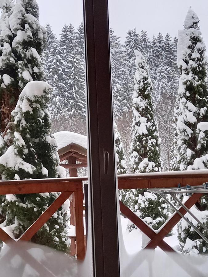 На Березі Черемошу Verkhovyna Extérieur photo